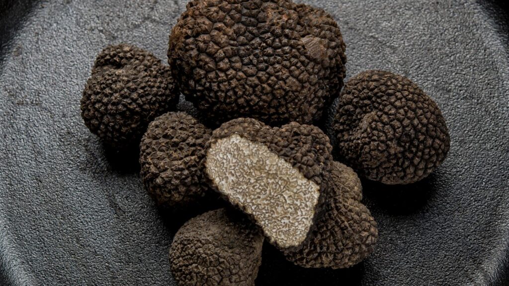 truffes de toscane 