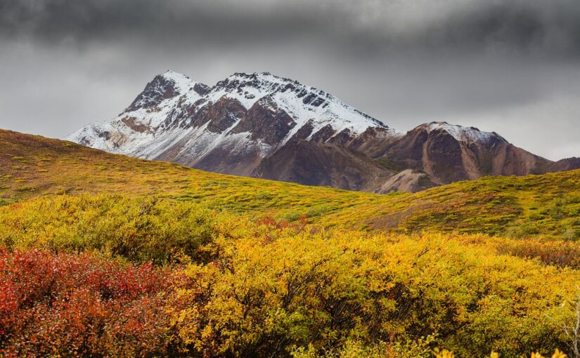 L’Alaska, un dépaysement garanti pour des vacances inoubliables