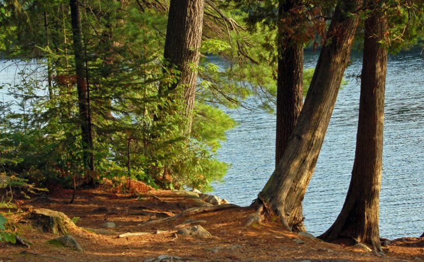 Mon avis sur les campings de luxe : une expérience à vivre